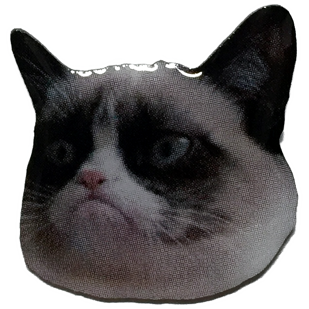 Grumpy Cat Pin
